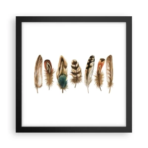 Poster în ramă neagră - Variație cu pene - 30x30 cm
