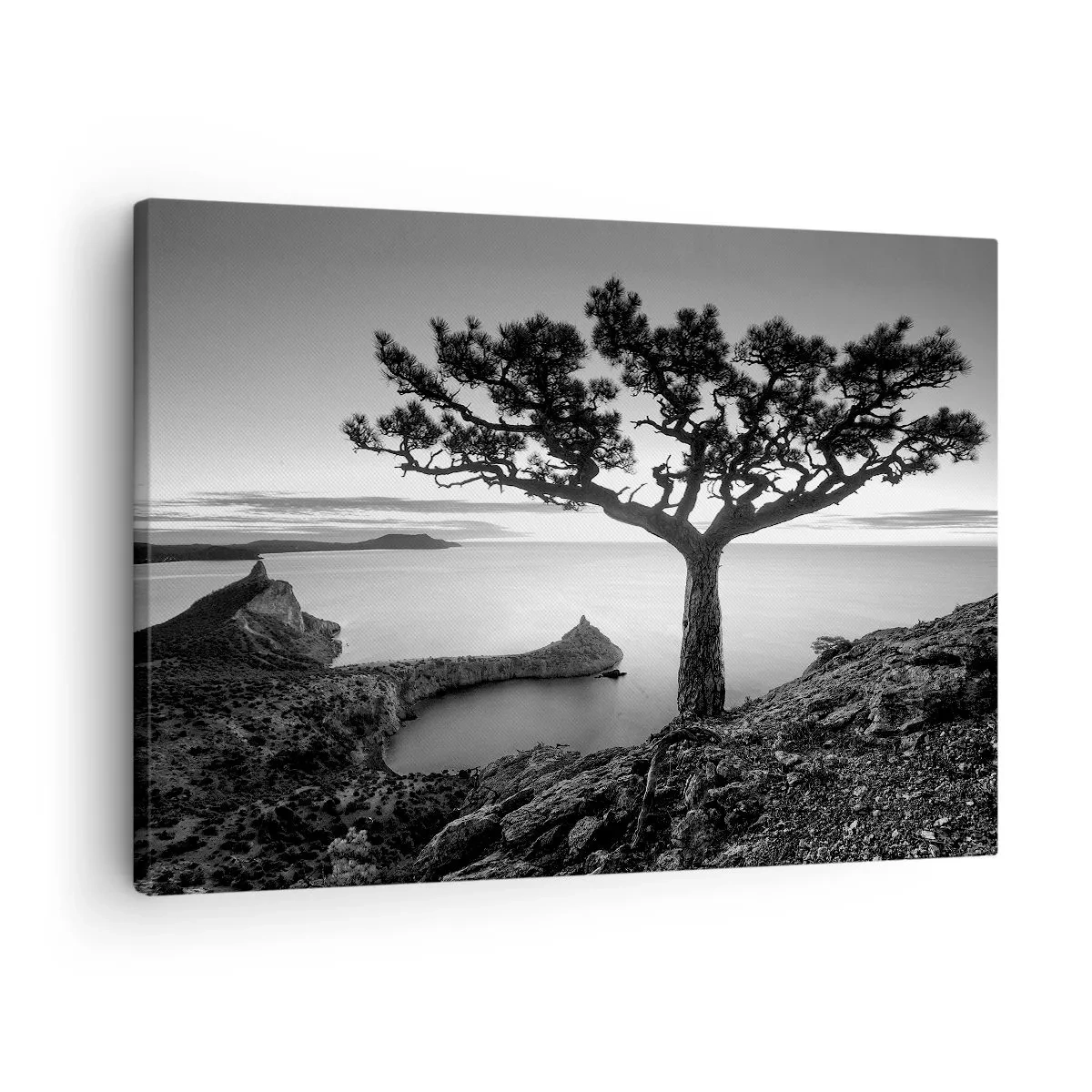 Tablou pe pânză Canvas - Peisaj alb-negru cu un copac singuratic pe o stâncă deasupra mării - 70x50cm - Liniște până la orizont - Decorațiune modernă pentru perete pentru living și dormitor ARTTOR