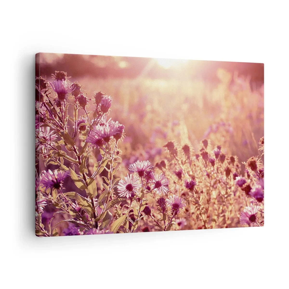 Tablou pe pânză Canvas - Pajiște în lumina soarelui care apune - 70x50cm - Înainte ca vara să plece - Decorațiune modernă pentru perete pentru living și dormitor ARTTOR