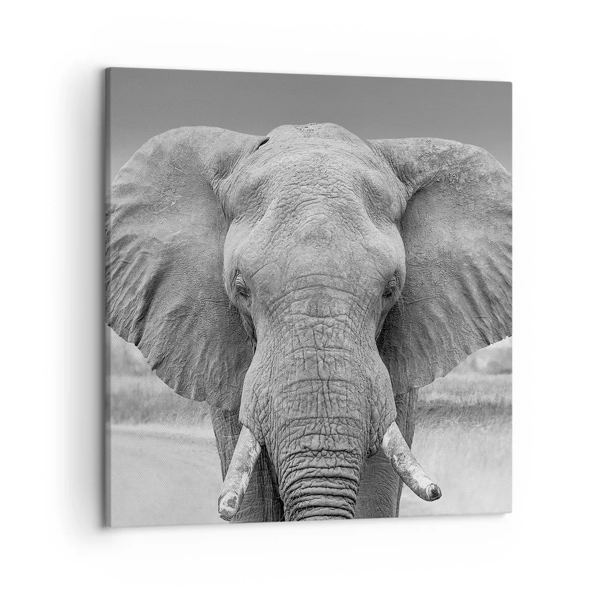 Tablou pe pânză - Bun venit în lumea mea - 50x50 cm