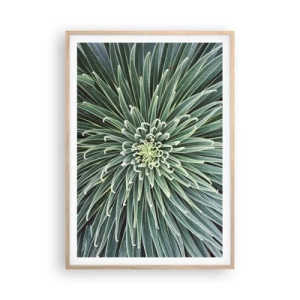 Poster în ramă de stejar deschis - Nașterea unei stele - 70x100 cm