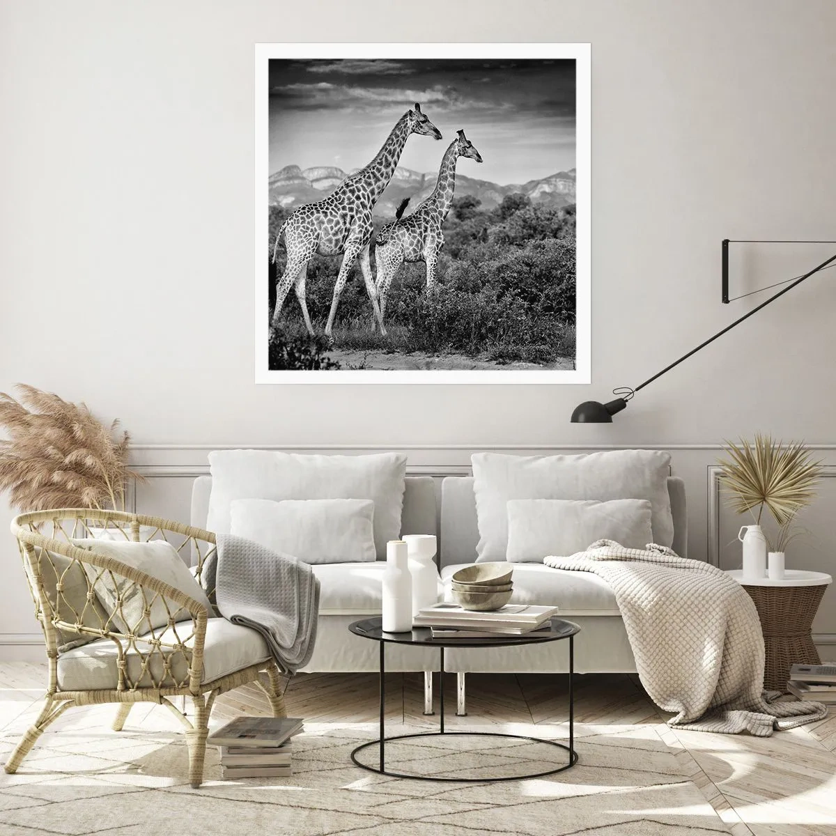 Poster - Clasele superioare din Africa - 50x50 cm