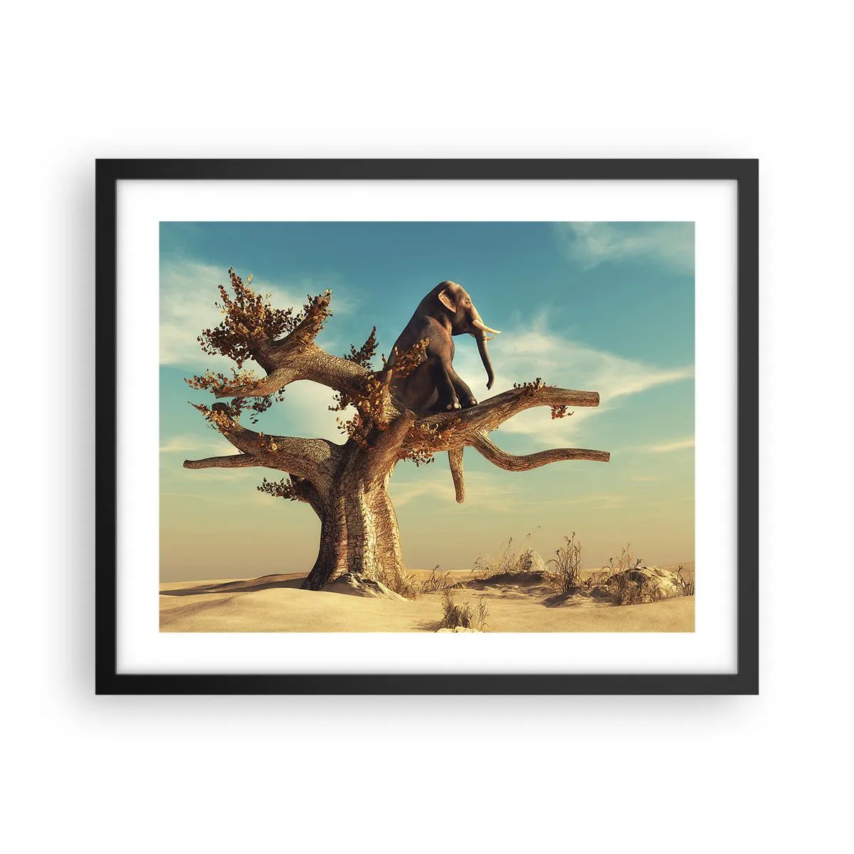 Poster în ramă neagră - Un nou punct de vedere - 50x40 cm