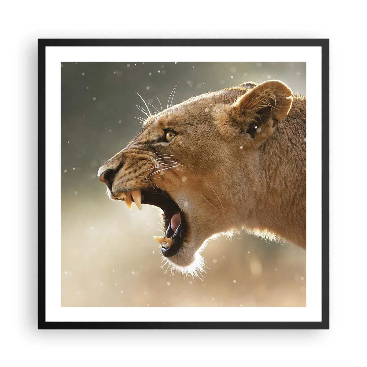 Poster în ramă neagră - Încearcă să nu asculți - 60x60 cm