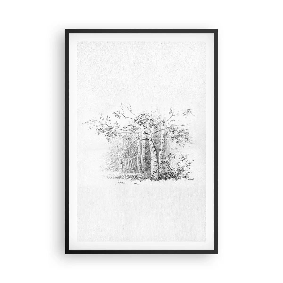 Poster în ramă neagră - Lumina pădurii de mesteceni - 61x91 cm