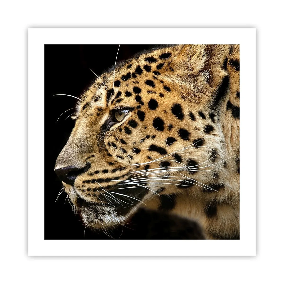 Poster - Calm, concentrat, pregătit - 50x50 cm