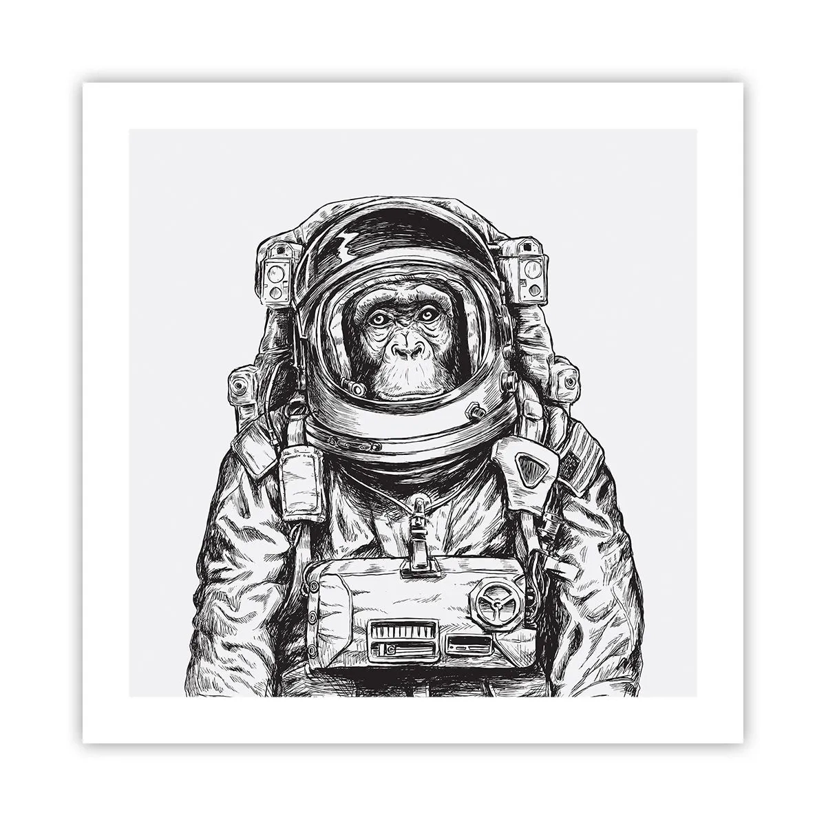 Poster - Evoluție alternativă - 50x50 cm