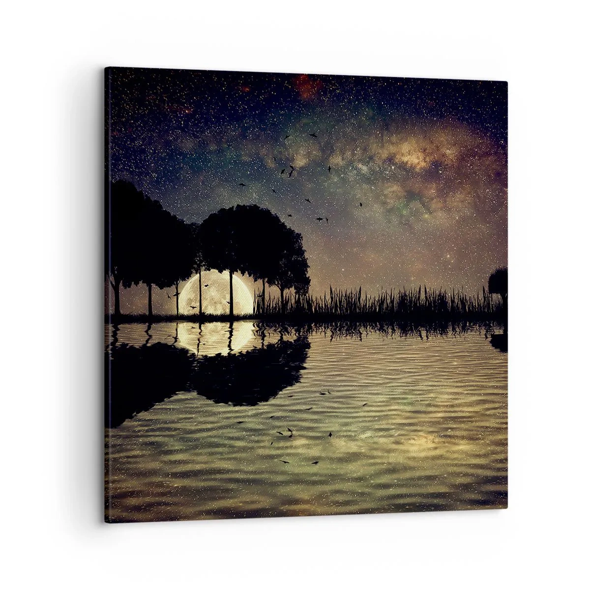 Tablou pe pânză - O noapte la capătul lumii - 50x50 cm
