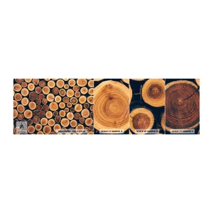 Mostră tapet autocolant Deluxe Sticker - Cât de bătrân sunt? - Trunchi de copac, pădure, Bucată - 100x30 cm