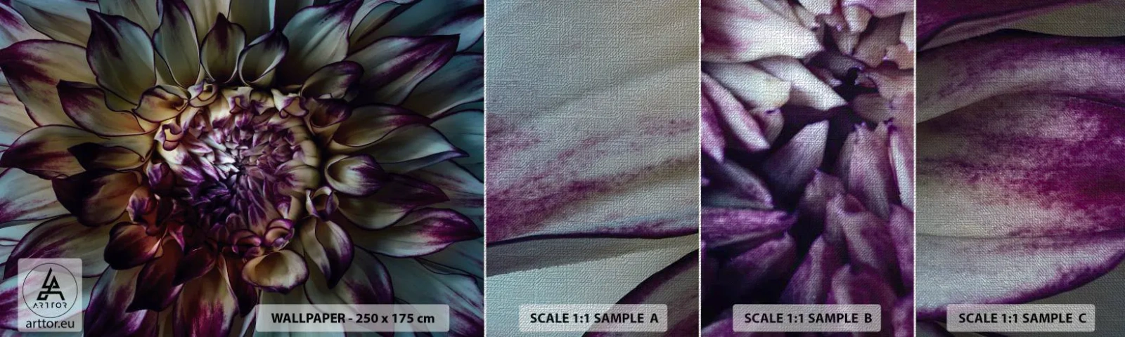 Mostră tapet Premium Canvas - Înflorirea tinereții - Flori, Dalie, Floare înflorită - 100x30 cm