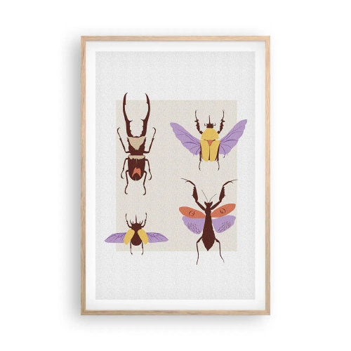 Poster în ramă de stejar deschis - Lumea insectelor - 61x91 cm