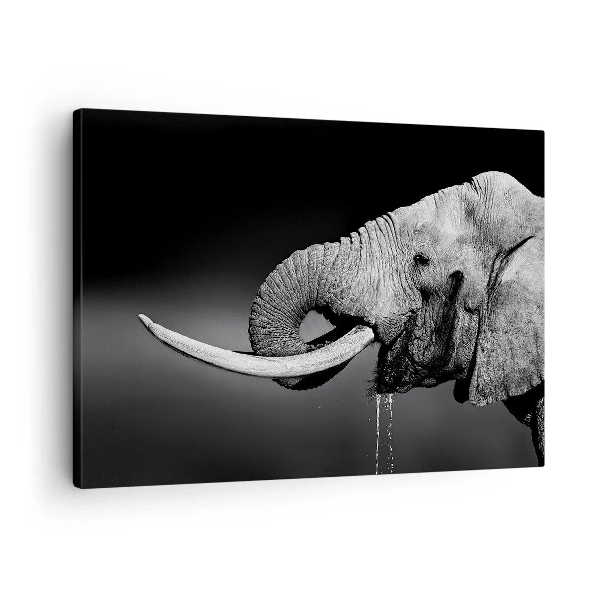 Tablou pe pânză Canvas - Portret alb-negru al unui elefant în profil - 70x50cm - Da, e bine acum - Decorațiune modernă pentru perete pentru living și dormitor ARTTOR