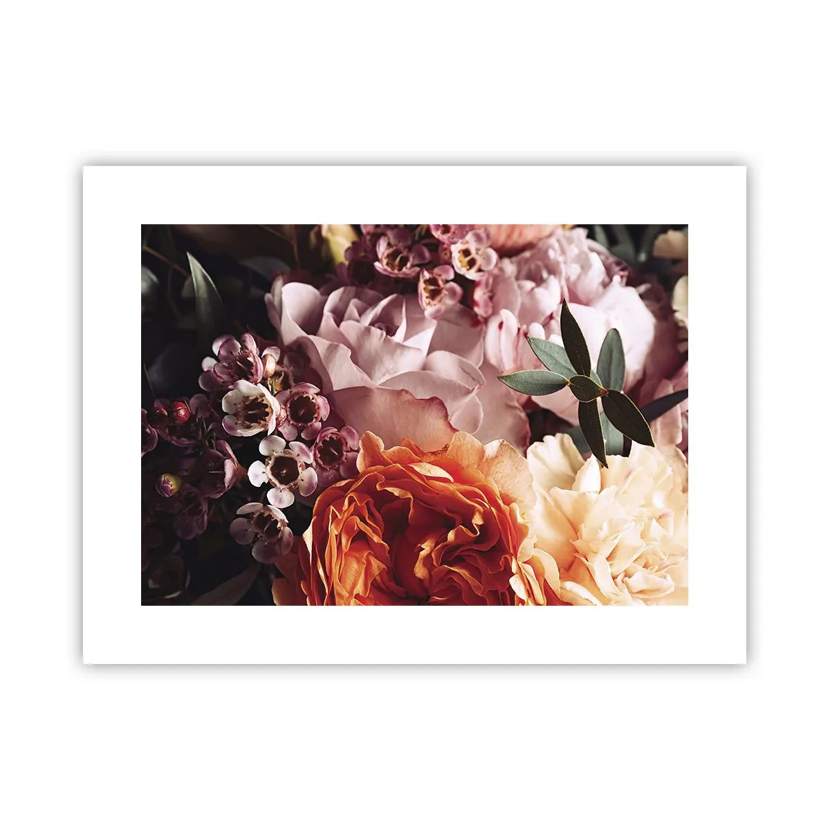 Poster - Înghesuite în frumusețe - 40x30 cm