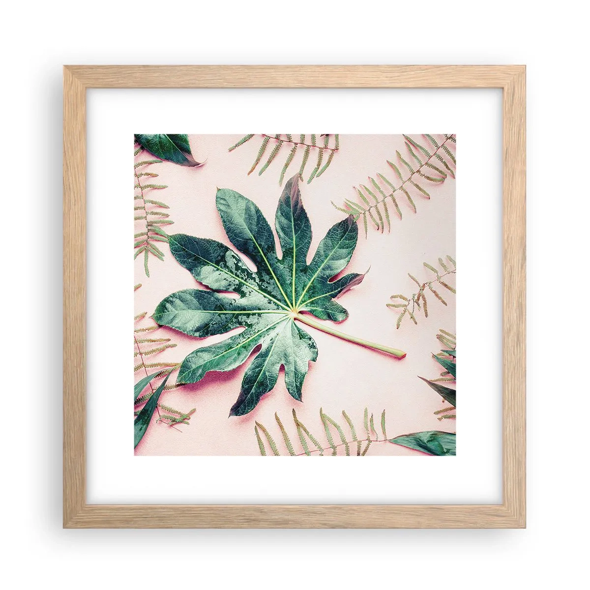 Poster în ramă de stejar deschis - Studiu de verdeață pe un fundal roz - 30x30 cm