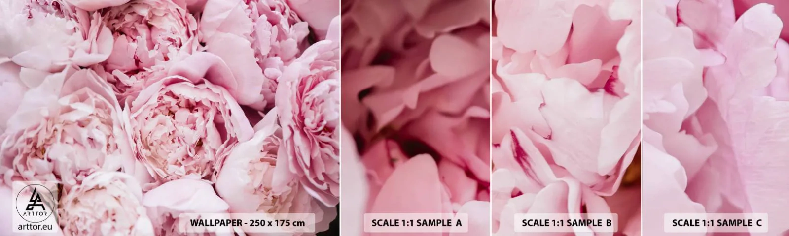 Mostră tapet autocolant Deluxe Sticker - Îmbrățișate și parfumate - Bujor, Flori, Buchet de flori - 100x30 cm