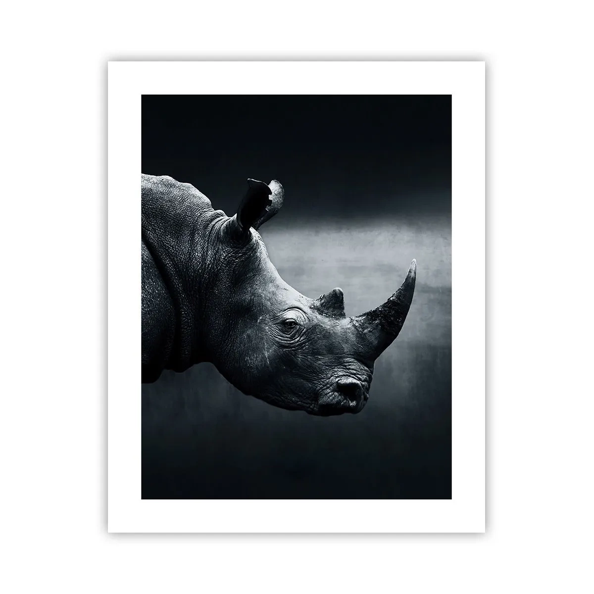 Poster - Profil drept - 40x50 cm