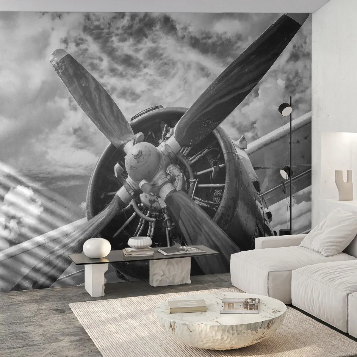 Tapet Autoadeziv Deluxe Sticker - Cuceritorul cerului - Avion, Elice de avion, Epocă - 250x175 cm