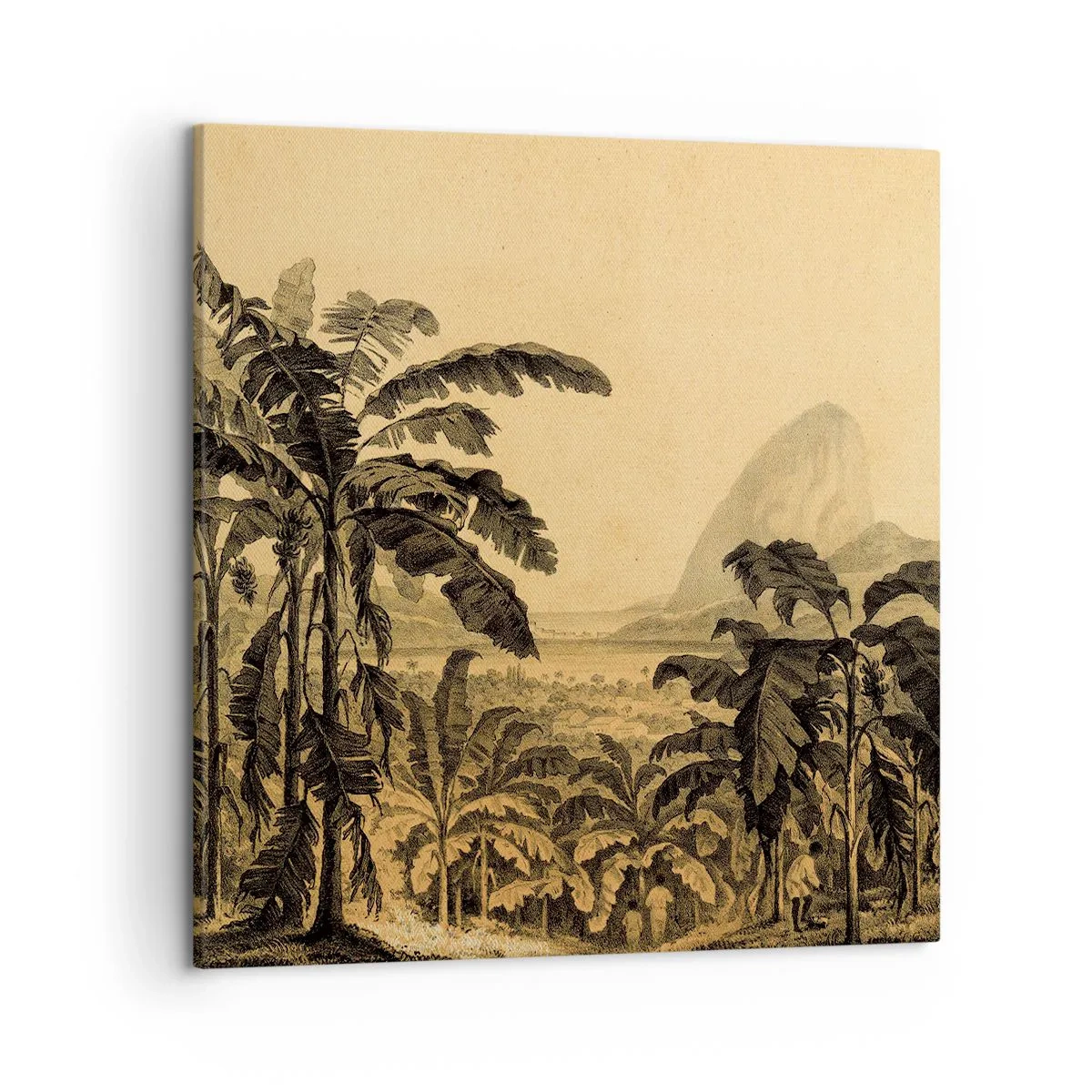 Tablou pe pânză - În stil colonial - 50x50 cm