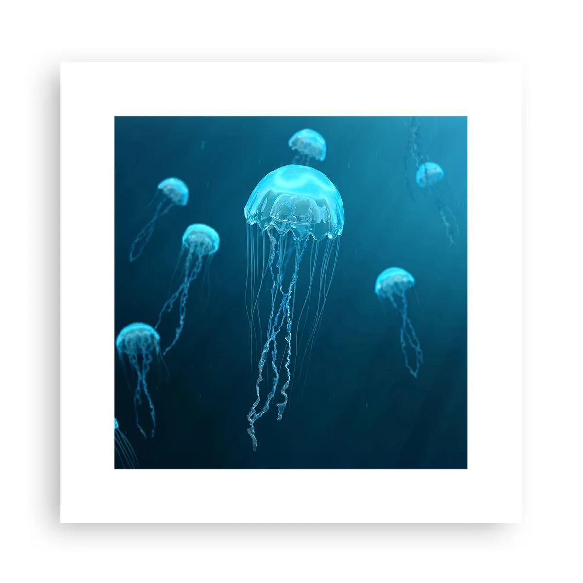Poster - Dansul oceanic - 30x30 cm