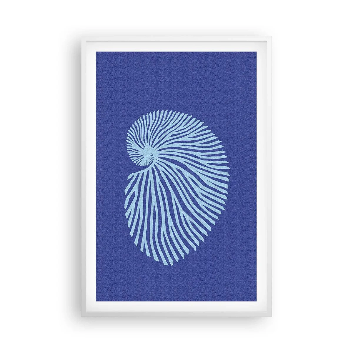 Poster în ramă albă - Nașterea cochiliei - 61x91 cm