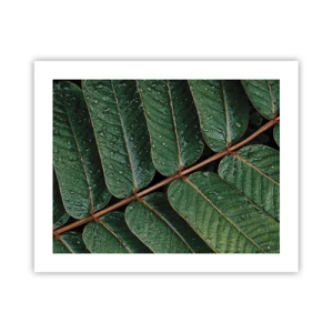 Poster - Într-un ritm verde - 50x40 cm