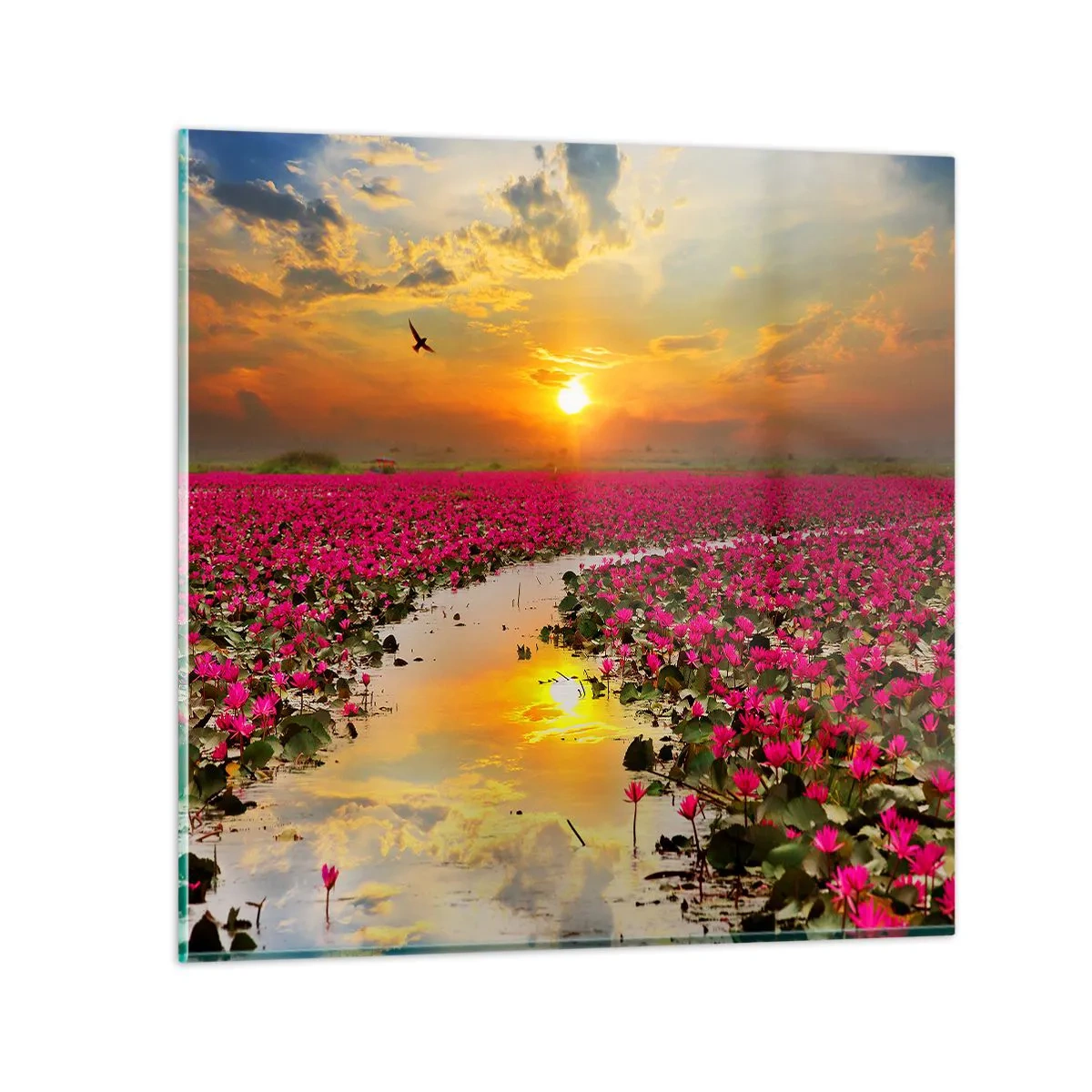 Tablou pe sticlă - Viața secretă a lacului - 40x40 cm