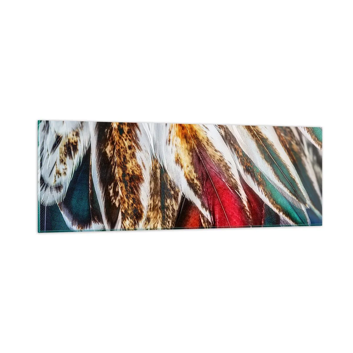 Tablou pe sticlă - Secretele zborului - 90x30 cm