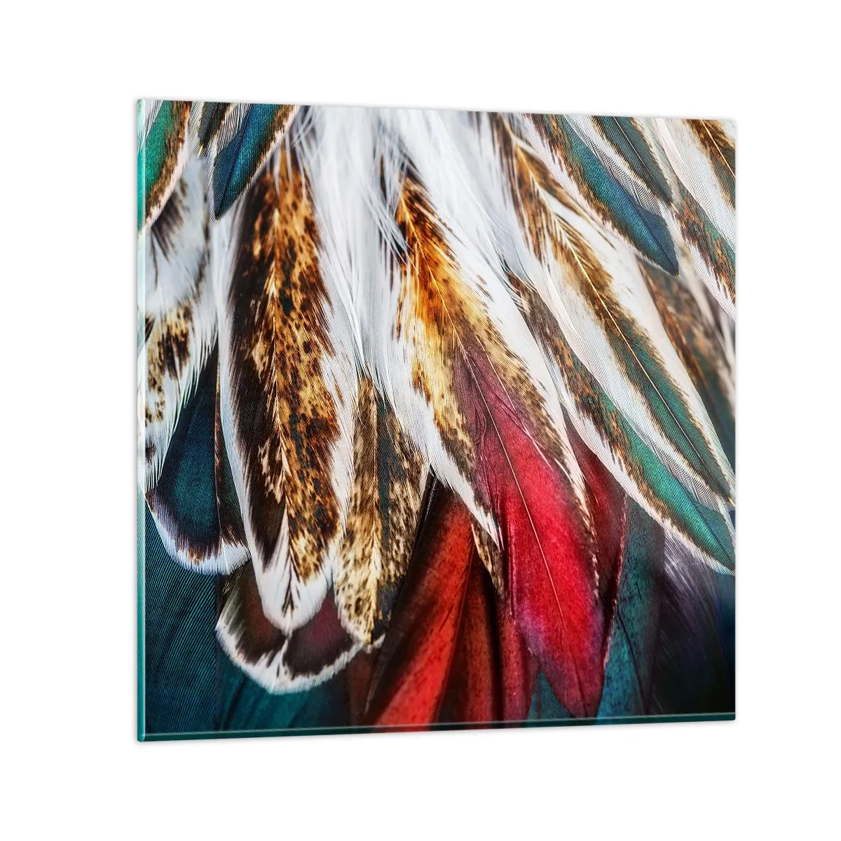 Tablou pe sticlă - Secretele zborului - 60x60 cm