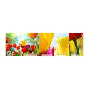 Mostră tapet autocolant Deluxe Sticker - Toate culorile soarelui - Lalele, Flori, luncă - 100x30 cm