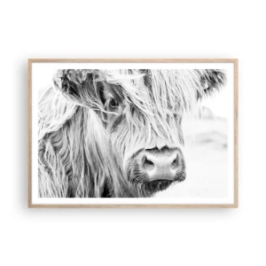 Poster în ramă de stejar deschis - Sălbăticie scoțiană - 100x70 cm