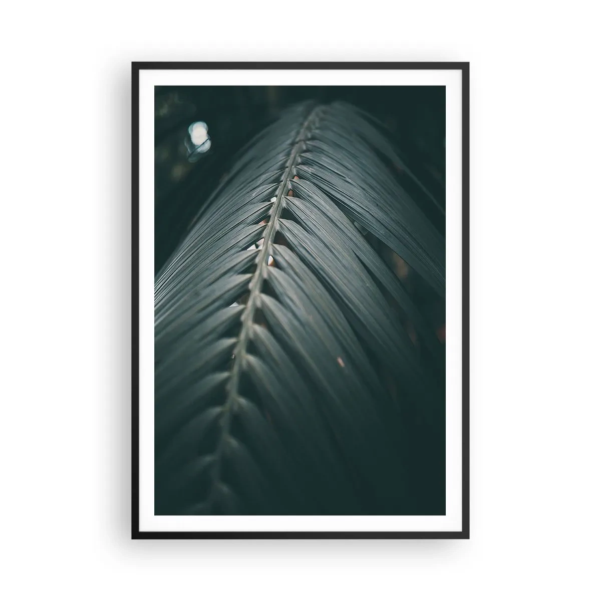 Poster în ramă neagră - Precizia naturii - 70x100 cm