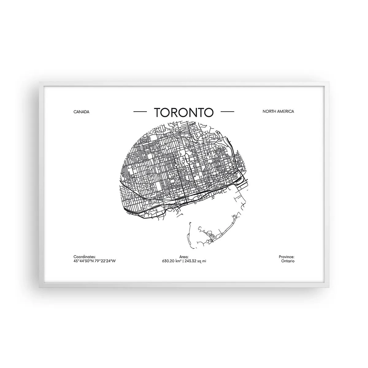 Poster în ramă albă - Anatomia Toronto - 100x70 cm