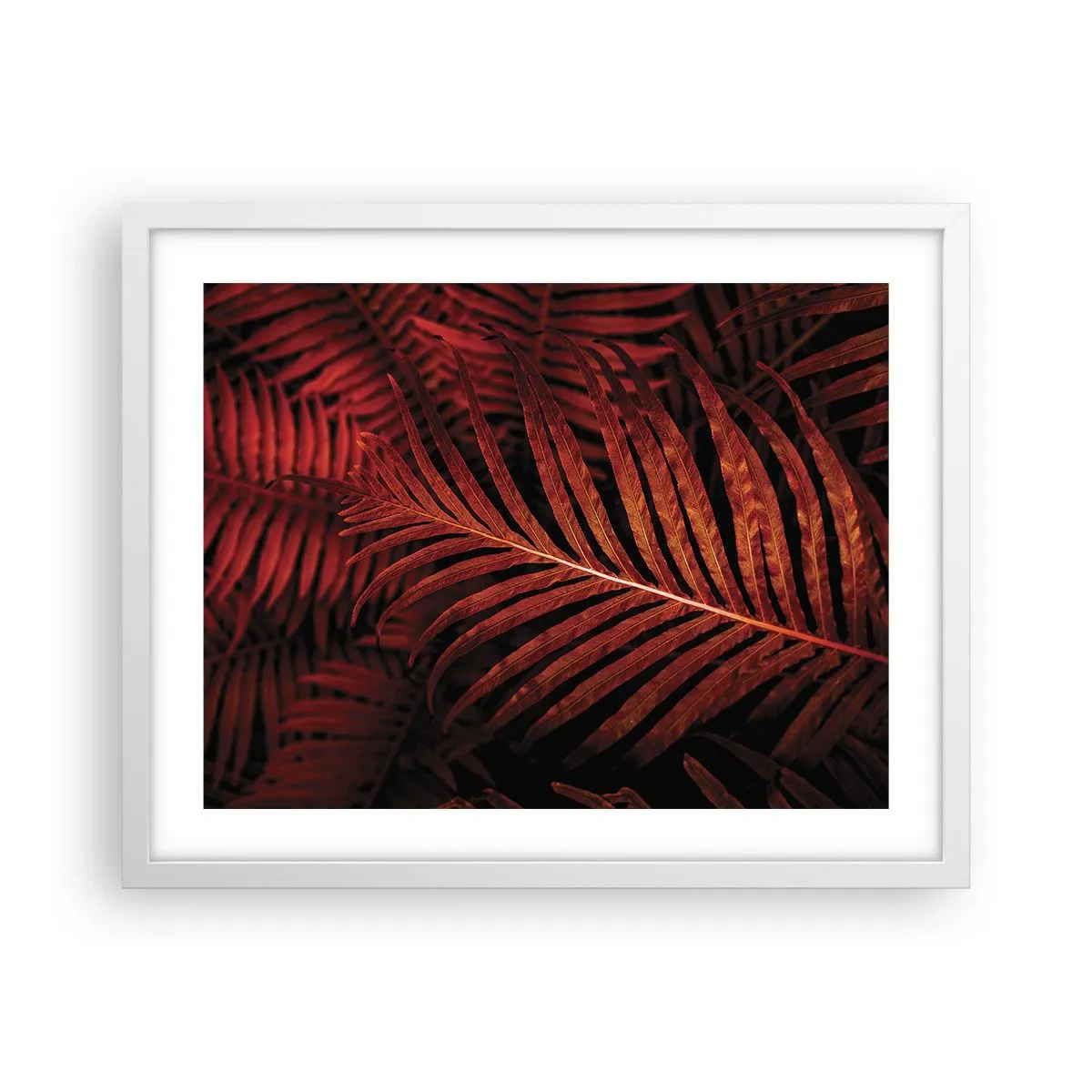 Poster în ramă albă - Ardoarea vieții - 50x40 cm