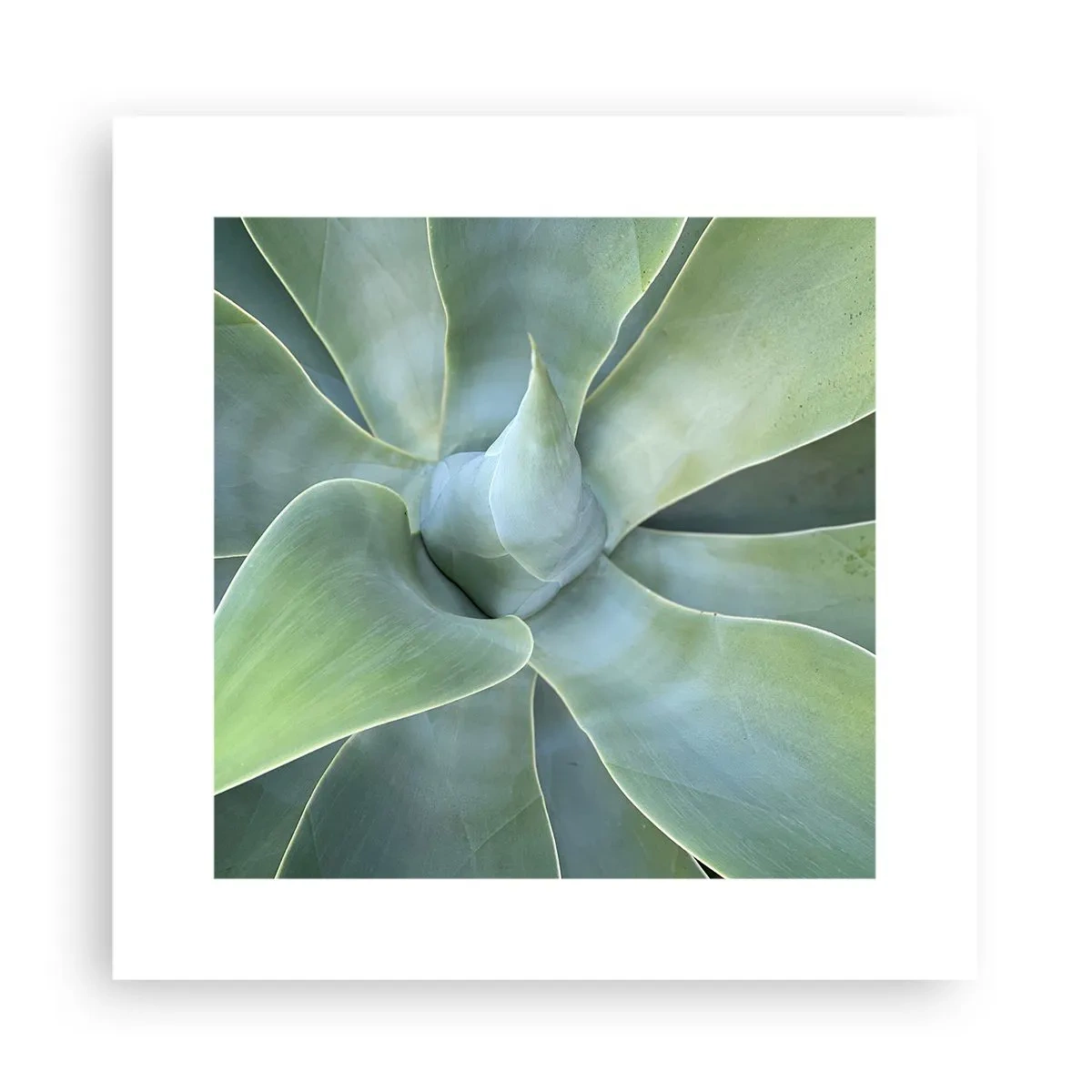 Poster - Nașterea verdeții - 30x30 cm