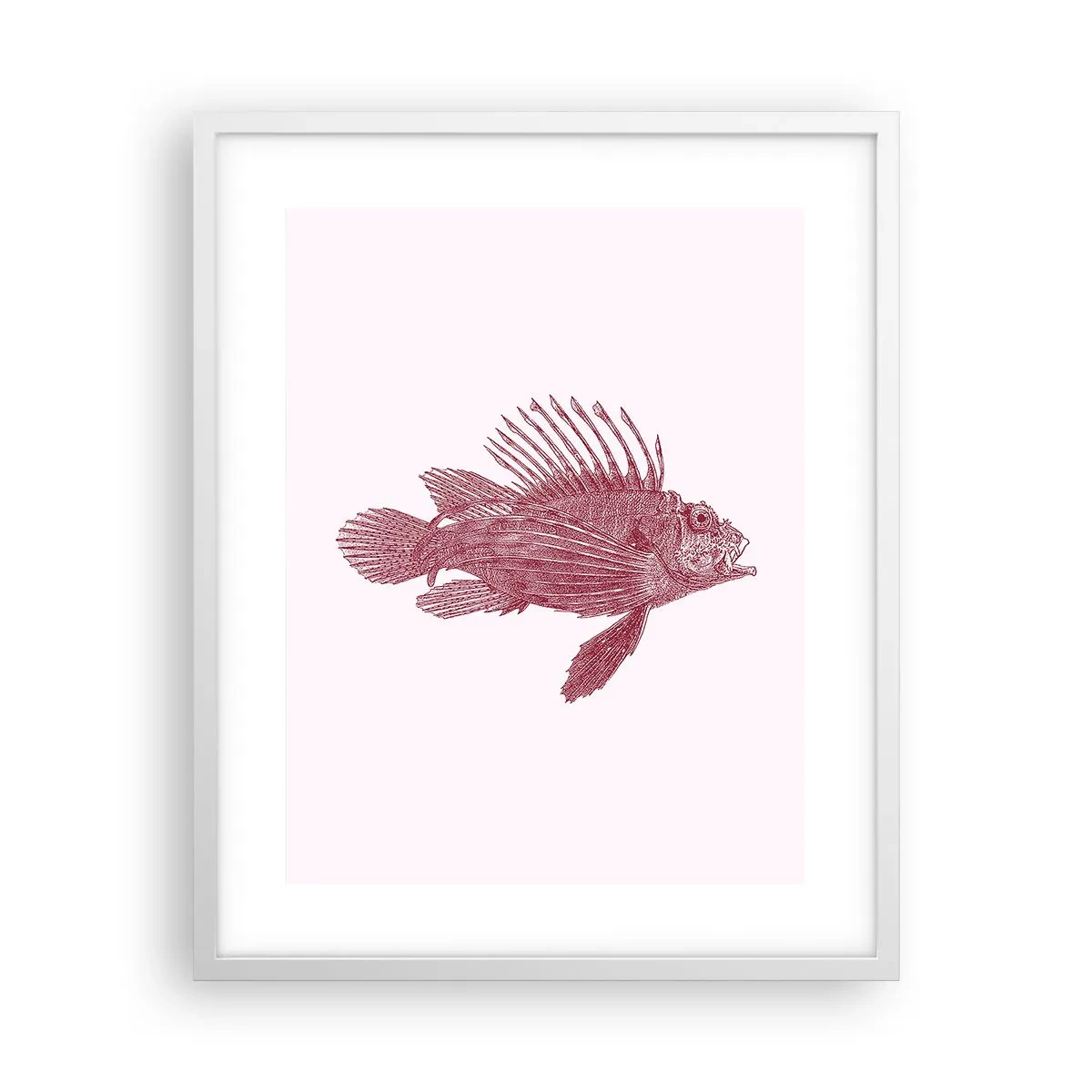 Poster în ramă albă - Un locuitor al apelor exotice - 40x50 cm