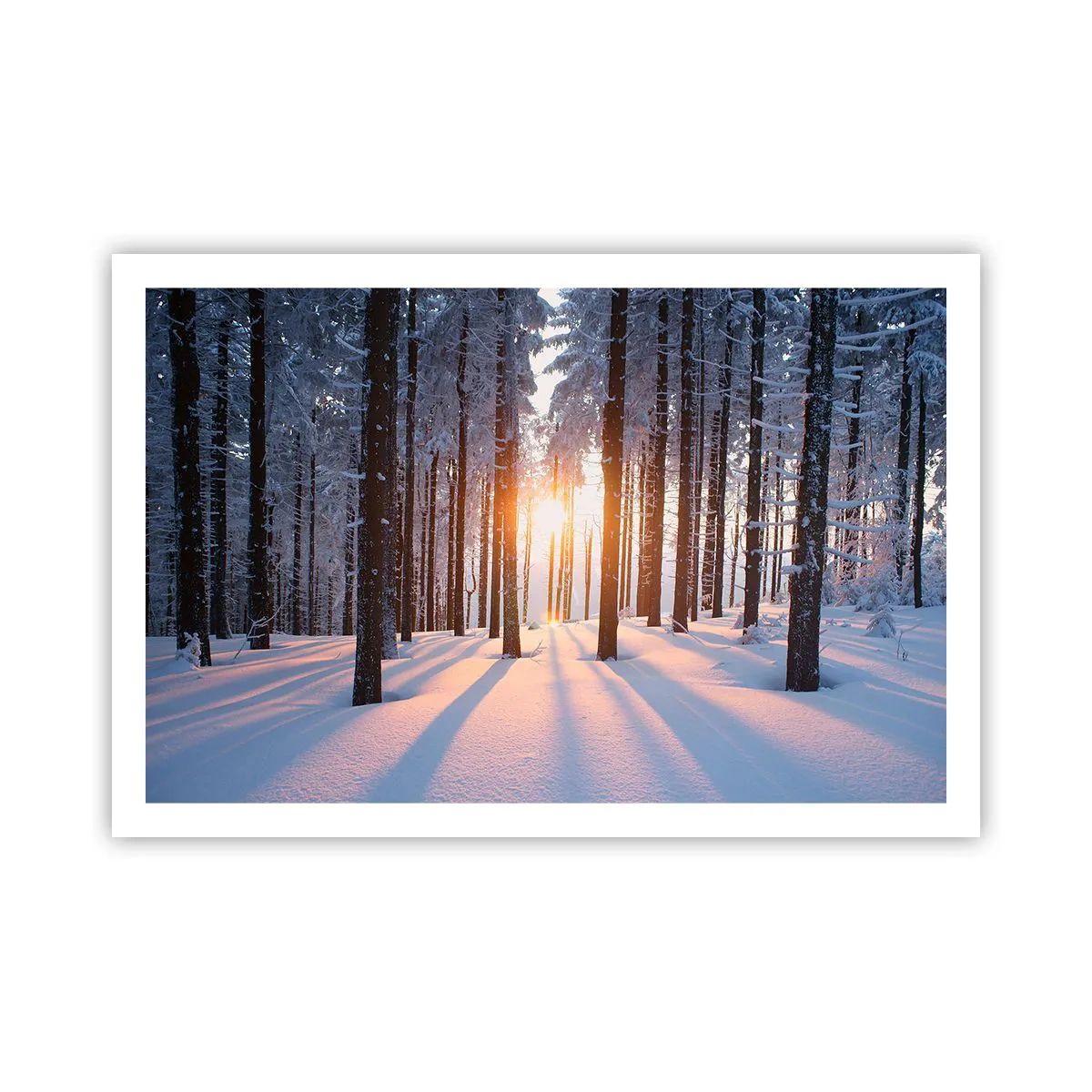 Poster - În mod clar în alb și negru - 91x61 cm