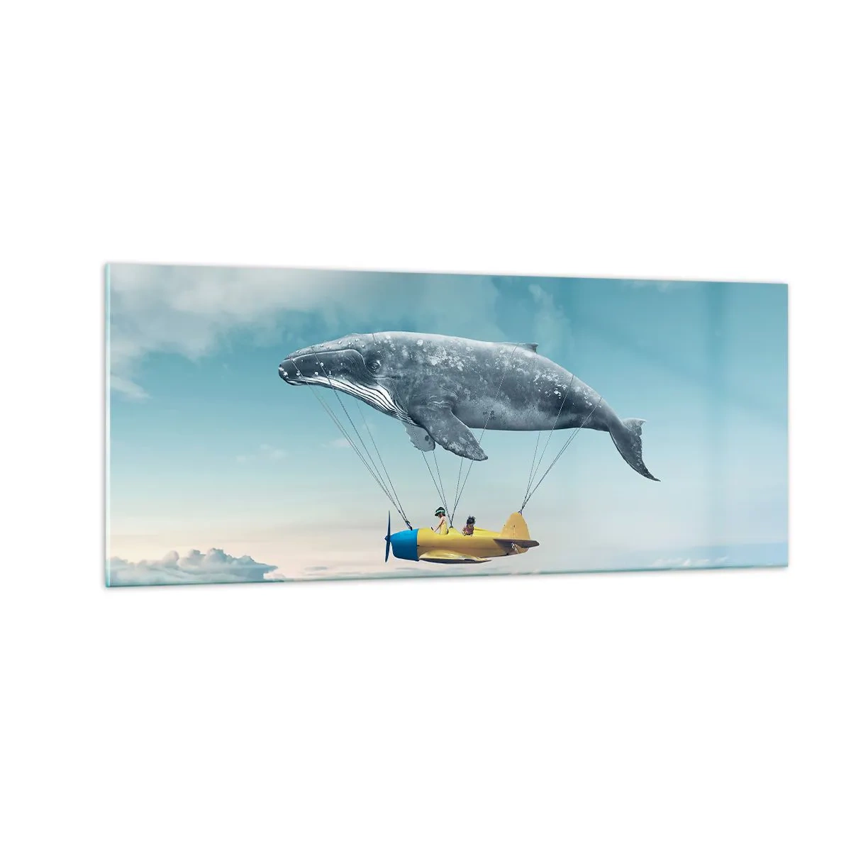 Tablou pe sticlă - De ce nu? - 100x40 cm