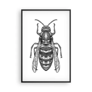 Poster în ramă neagră - De pe o planetă de insecte - 61x91 cm