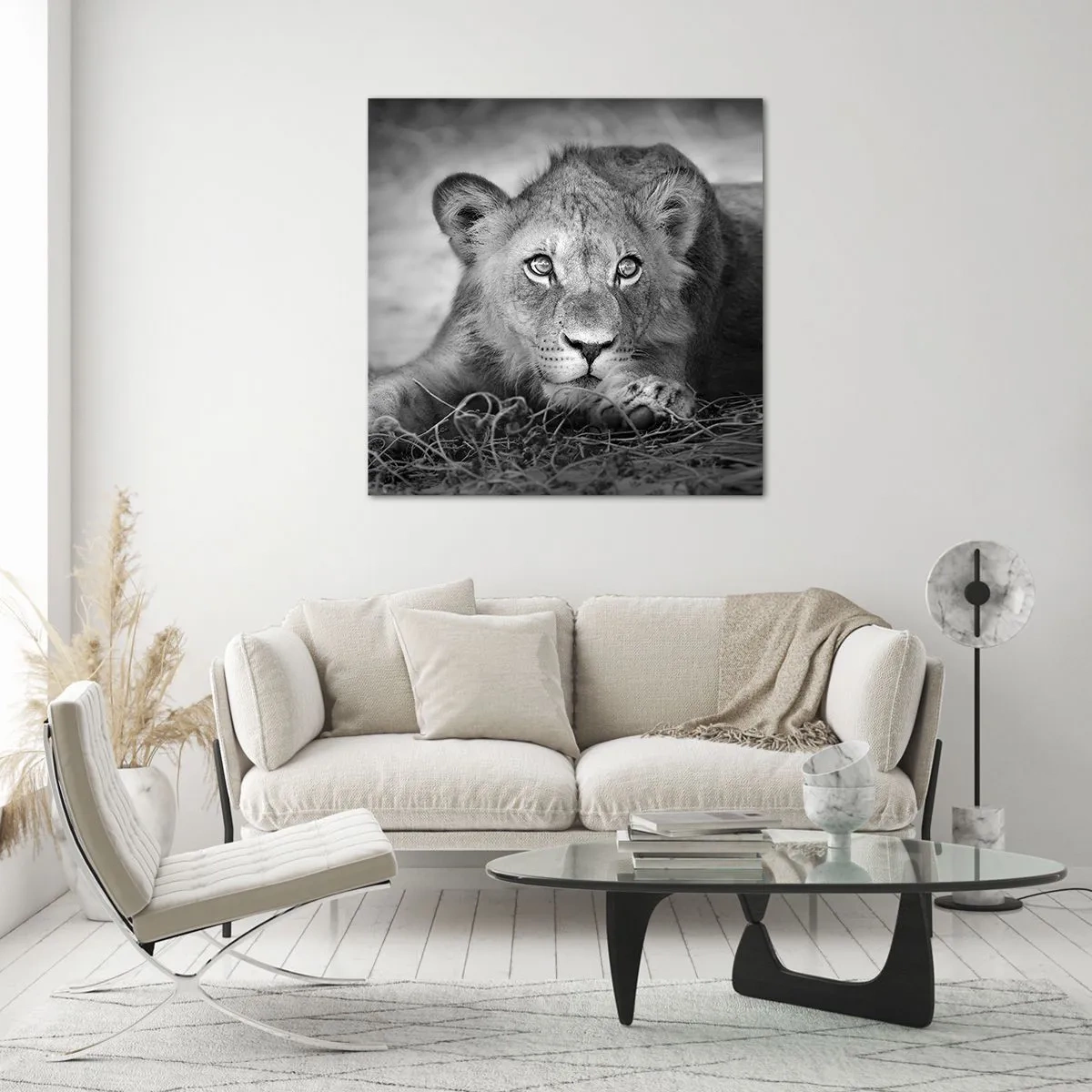 Tablou pe sticlă - Pisicuța regală - 60x60 cm