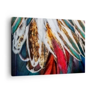 Tablou pe pânză Canvas - Prim-plan cu pene multicolore în culori vibrante și intense - 70x50cm - Secretele zborului - Decorațiune modernă pentru perete pentru living și dormitor ARTTOR