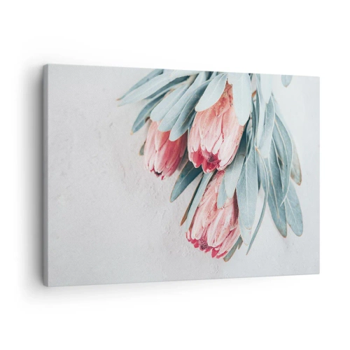Tablou pe pânză Canvas - Flori subtile de protea roz pe un fundal deschis - 70x50cm - Rușinate de propria lor frumusețe - Decorațiune modernă pentru perete pentru living și dormitor ARTTOR