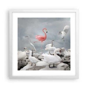 Poster în ramă albă - De unde am venit? - 40x40 cm