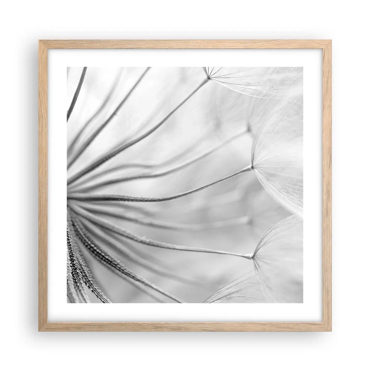 Poster în ramă de stejar deschis - Suflarea zmeilor - 50x50 cm