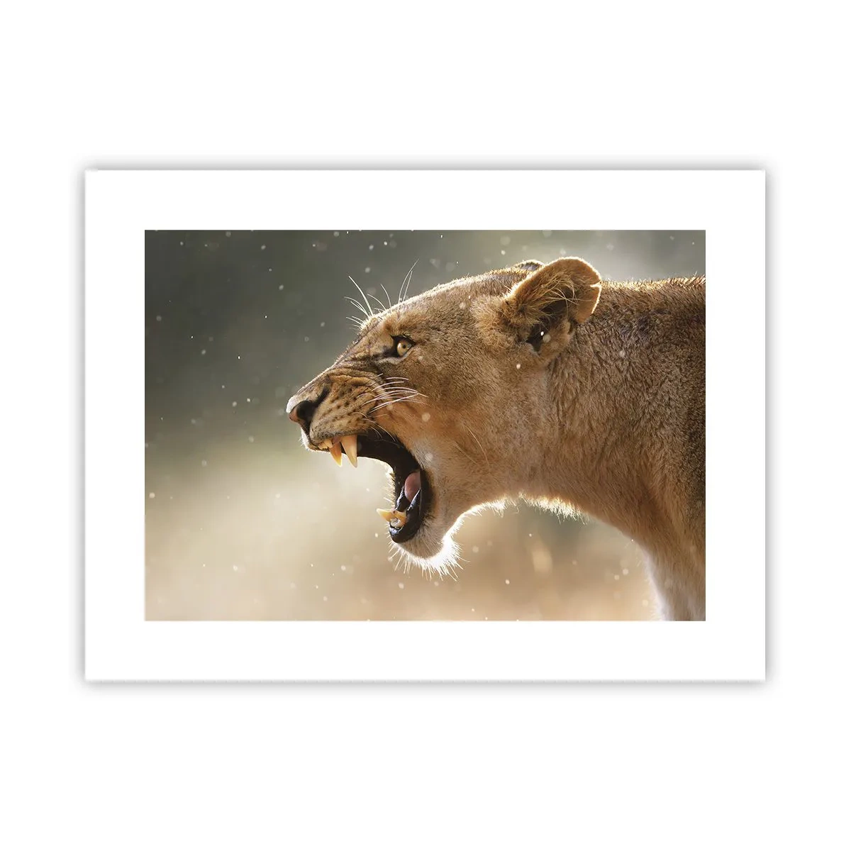 Poster - Încearcă să nu asculți - 40x30 cm