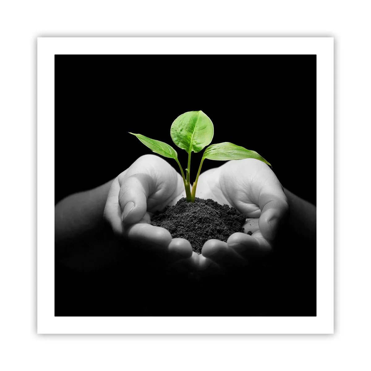 Poster - Iubesc natura, o protejez - 60x60 cm