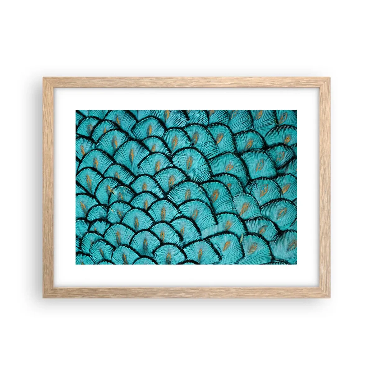 Poster în ramă de stejar deschis - Marea gală a penelor - 40x30 cm