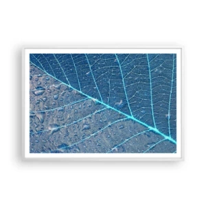 Poster în ramă albă - Viața în albastru - 100x70 cm