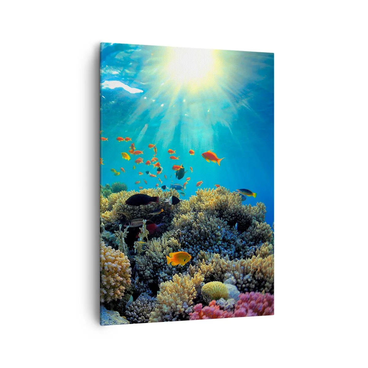 Tablou pe pânză - Comori subacvatice - 70x100 cm