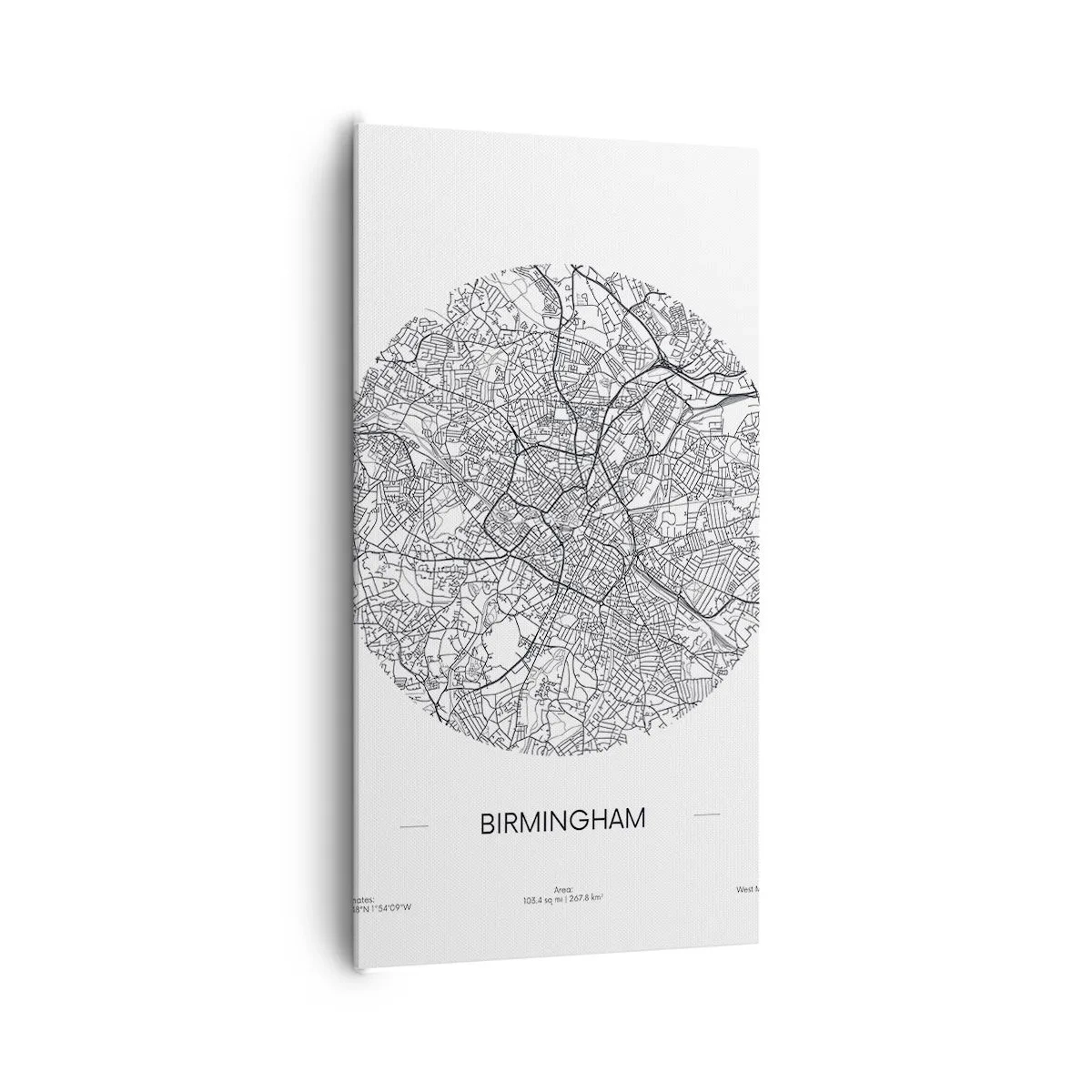 Tablou pe pânză - Anatomia Birmingham - 65x120 cm