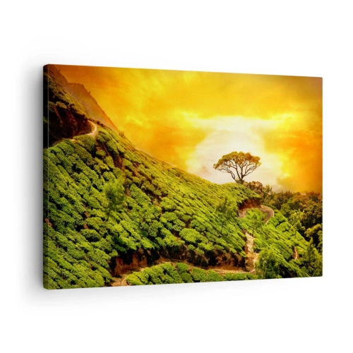 Tablou pe pânză Canvas - Dealuri verzi cu plantații de ceai la apus - 70x50cm - O cărare sinuoasă, o pantă verde - Decorațiune modernă pentru perete pentru living și dormitor ARTTOR